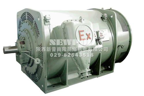 YB355-900 series High voltage(6KV,10KV) flameproof Three Phase Asynchronous Motor