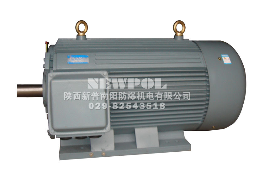 Y series Three Phase Induction Motors