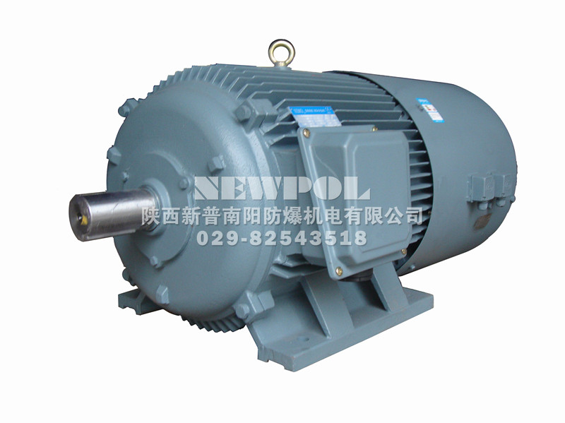 YP series Variable-frequency adjustable-speed Three Phase Induction Motors