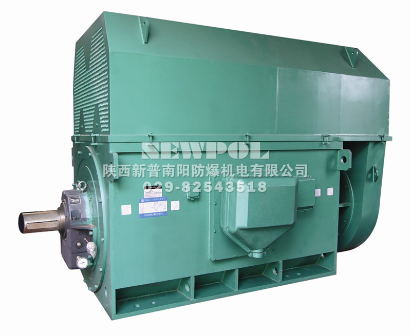 YKK series(710-1000) High voltage Three Phase Induction Motors