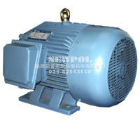 YA series Increased-safety Three Phase Induction Motors