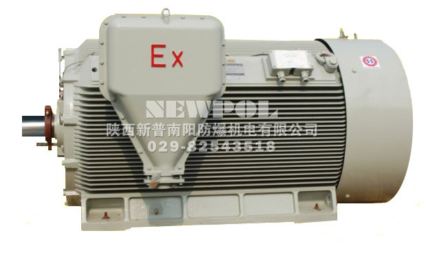 YAXn series Increased-safety High voltage High-efficiency Three Phase Induction Motors/></a><p align=