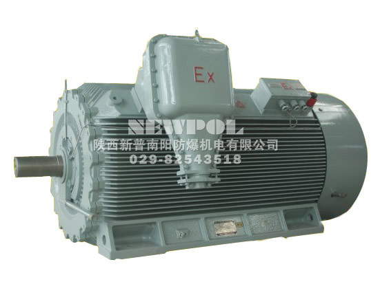 YBX3 series High voltage High-efficiency flameproof Three Phase Induction Motors