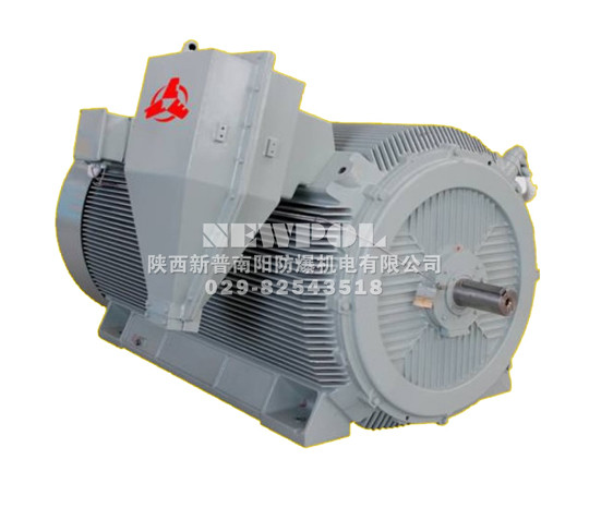 YBXn series High voltage High-efficiency flameproof Three Phase Induction Motors