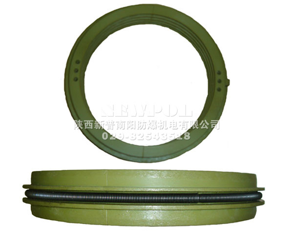 High voltage motors seal ring