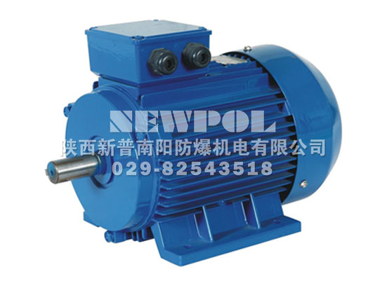 YVF2 series Variable-frequency adjustable-speed Three Phase Induction Motors