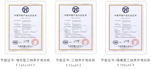 荣誉资质6