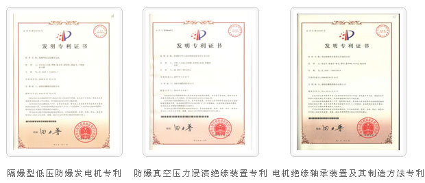 荣誉资质10