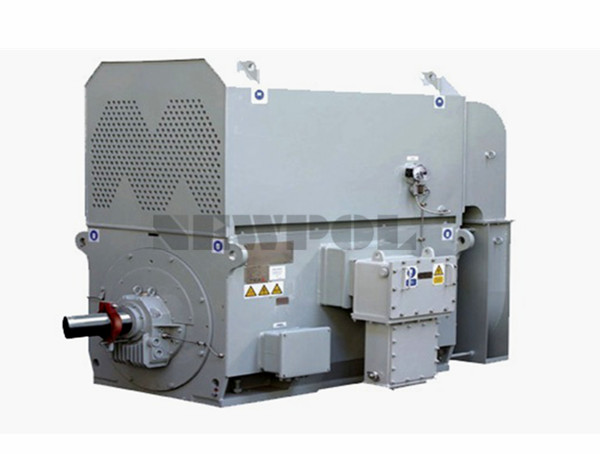 YAXn系列增高型高压高效率三相异步电动机